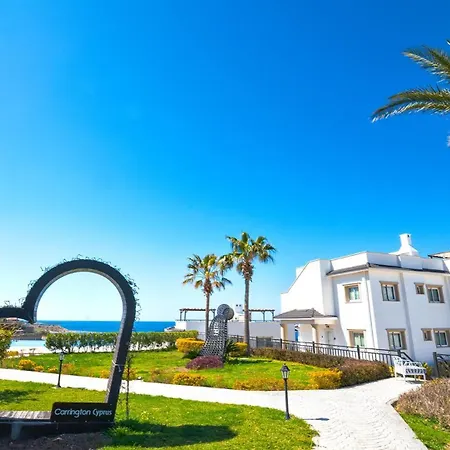 Sunset Poseidon By Carrington *